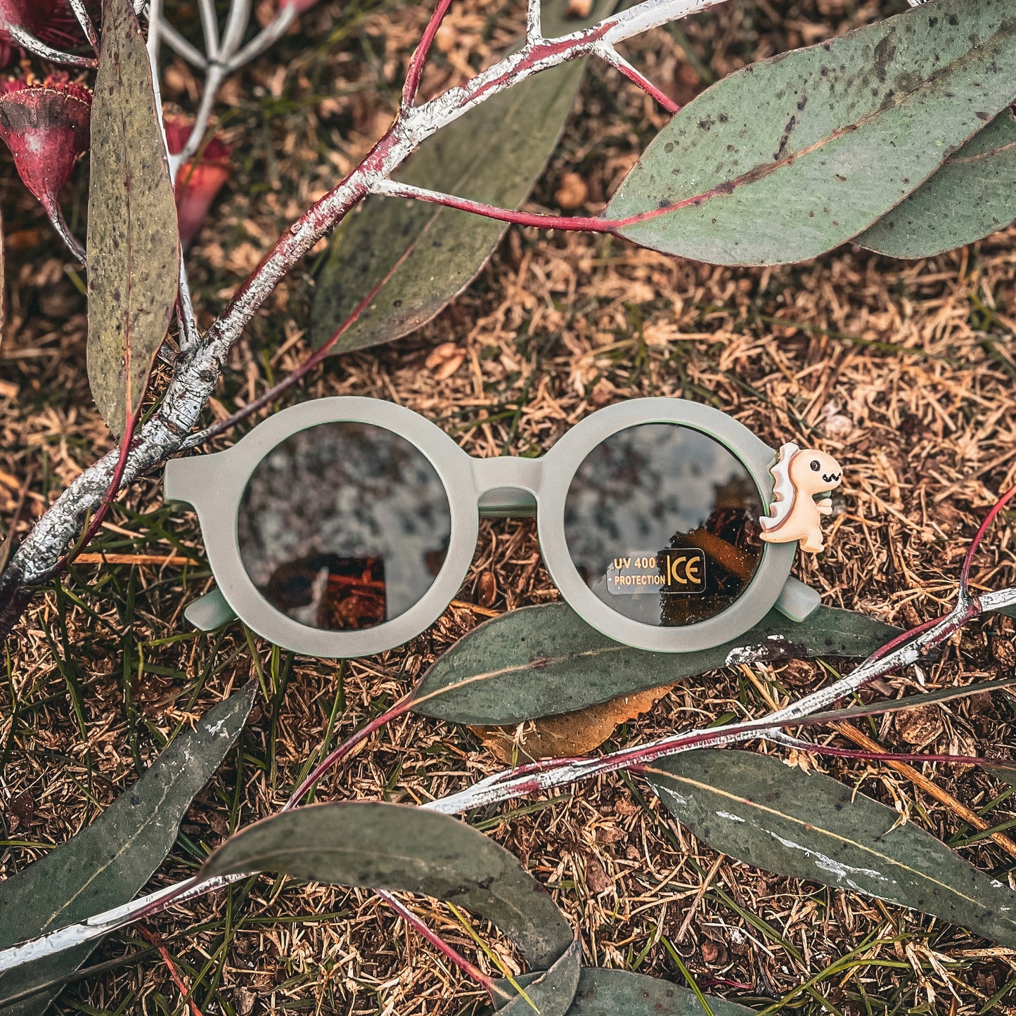 Dinosaur sunglasses - green