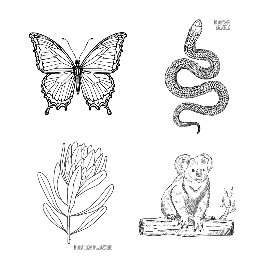 Colouring book download