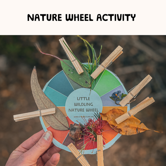 Nature colour wheel