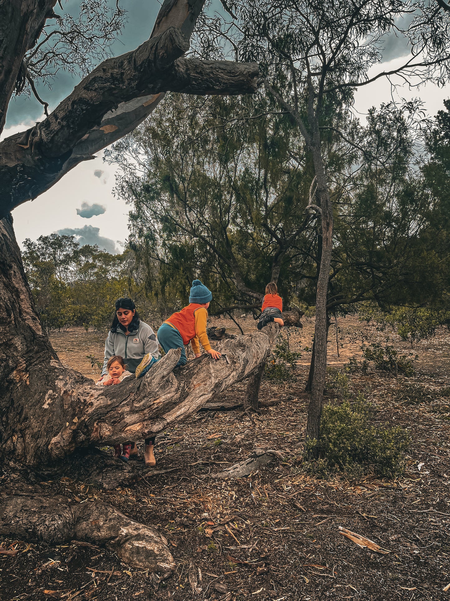 Bush kinder T3 You Yangs - FRIDAY